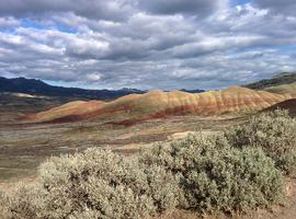 Mindy and I went camping in Central Oregon over Memorial Day weekend. While there, we visited the John Day Fossil Beds National Monument.