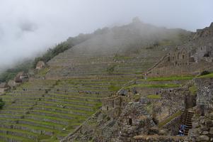 It turns out Machu Picchu is located in a rainforest. The weather mostly cooperated, even if the views were pretty cloudy at times.