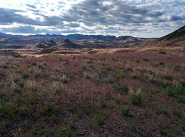 Even unpainted hills look surreal in this lighting.