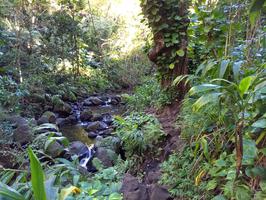 The hike starts out following a river for a bit