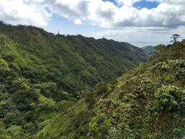 The view near the top of the third waterfall.