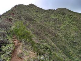 The hike follows this ridge to the top of the crater, then continues around and loops back.