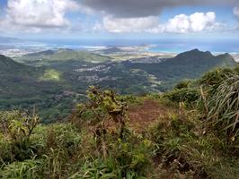 I read good things about this hike so I decided to check it out when I was in Honolulu. One of the most amazing ascents I have ever done. Cool jungle scenery, technically challenging without being too unsafe, you get to hike up waterfalls, you get great views of the island, and I only saw two other hikers. The descent was rough though. I expected it was going to be really muddy, so I brought an old pair of tennis shoes I could throw away when I was done with the hike. I didn't expect it to be super steep, and so the lack of traction provided by the old shoes ended up being problematic. Lots of slipping and falling, but totally worth it.