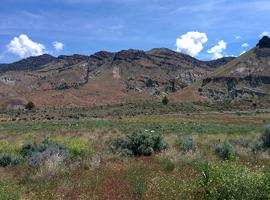 The views outside the visitor's center.