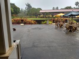 This picture doesn't show how hard it was raining at the Dole Planation