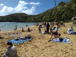 We decided to go back to Hanauma Bay, hang out at the beach, and do some snorkeling.