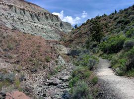 Hiking up the canyon.