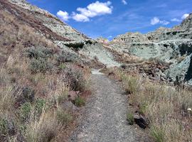 Still hiking up the canyon.