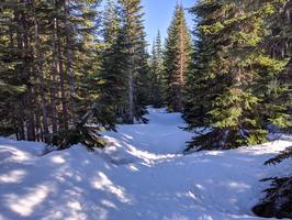 You can't glissade down the ski trails, although it was a nice downhill walk.