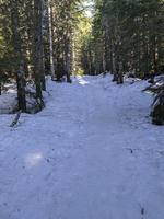 The trail starts out on a ski trail. The snow was pretty firm, so I didn't need to use my snowshoes, even in the afternoon.