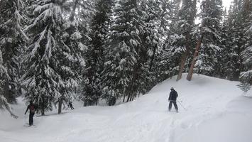 The best part of Brighton is all these super easy side trails they have through the trees. It's a lot safer than it looks.