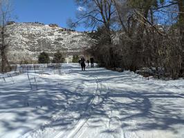 We decided to try cross country skiing the next day.