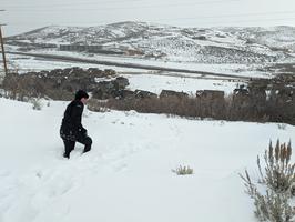 Hiking the hill behind JT's house proved to be more challenging than expected.