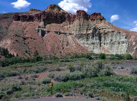 Cathedral Rock.