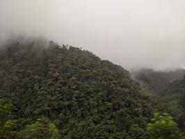 Cloud forest on the way to Mindo