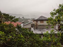 It turns out it rains a lot in the cloudforest, so we hung out at the hotel for a bit and took pictures of wildlife.