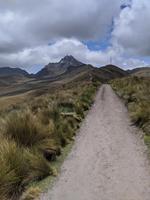 The next day I tried to climb Rucu Pichincha. I got pretty close to the summit, but couldn't find a safe path, so I had to turn back.