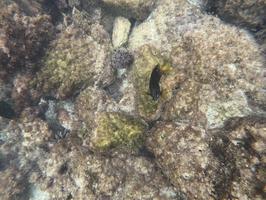 After Kicker Rock, we went to a beach and did some more snorkeling.