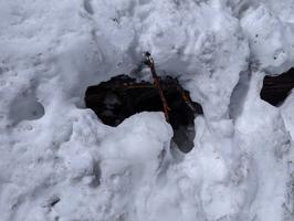 There were lots of buried logs on the way back, covered by thin snow bridges.