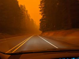 The forest fires on the way home were crazy!