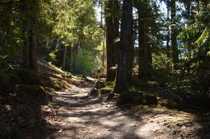 The trail got much easier after the river crossing.