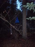 In order to prevent animals from stealing our food, we hung it up in a tree.