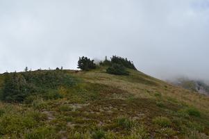 The trail has almost completely disappeared at this point.