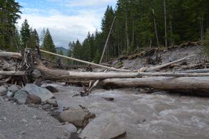 This is the log I was supposed to cross on. It's a lot easier than it looks. There's even a makeshift handrail!