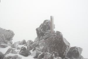 Following the posts become more challenging as we gained elevation. We would find a post, blindly hike uphill for a couple minutes, then find another post.