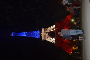 Eiffel Tower selfie