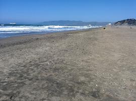 Golden Gate Park ends on a beach
