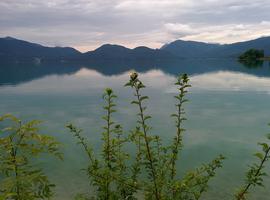 We drove up to a lake in the Alps called Walchensee