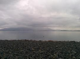 The harbor that Reykjavik sits on