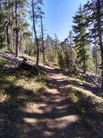 For the first few miles, this is a normal trail hike.