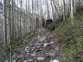 The trail was initially pretty rocky.