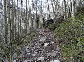 The trail was initially pretty rocky.