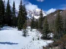 The sun came out, and that started to melt the snow, increasing the difficulty of the hike. Several times I was knee deep in snow.