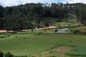 A farm near Sacsayhuaman