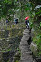 It wasn't a traditional hike. It was mostly stair climbing.